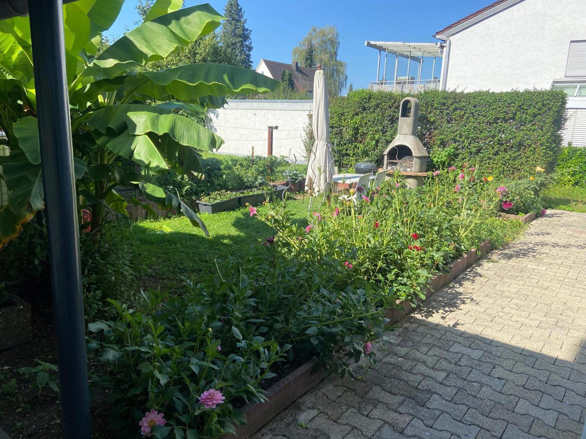 Apisha Apartement Kirchheim unter Teck Zewnętrze zdjęcie