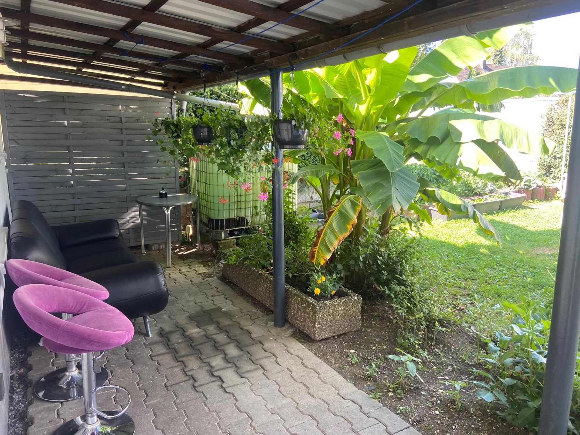 Apisha Apartement Kirchheim unter Teck Zewnętrze zdjęcie